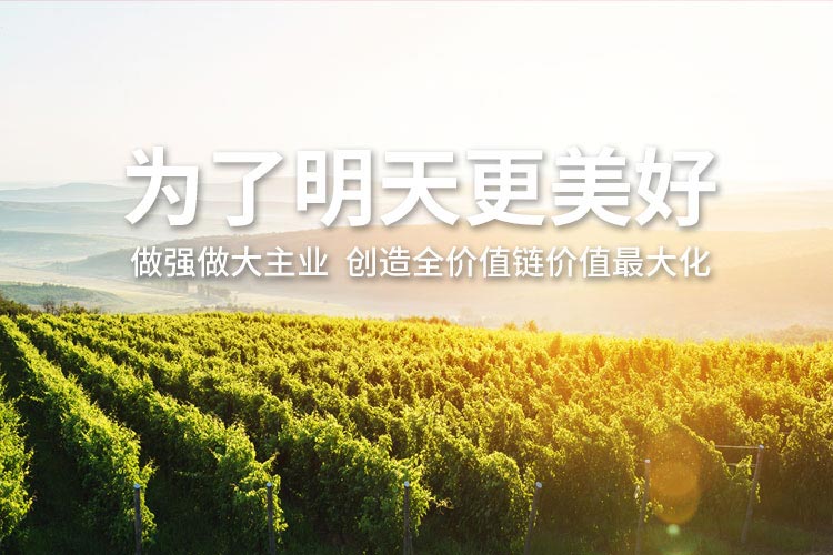竞技宝(JJB)官方网站 - 华语电竞行业引领者