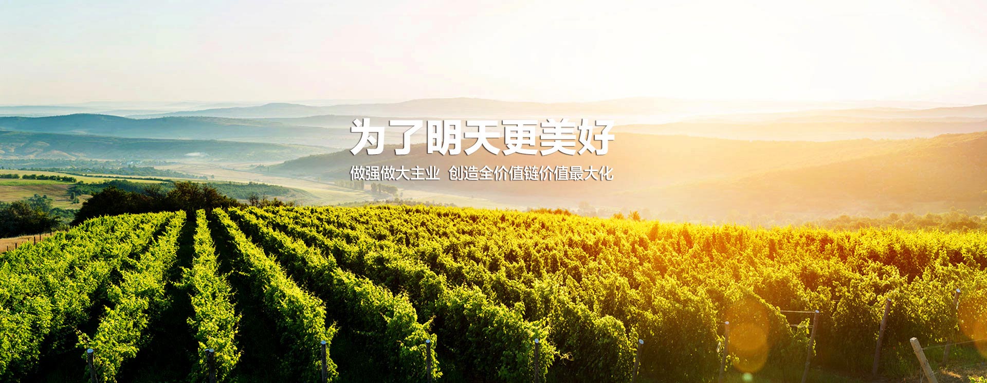 竞技宝(JJB)官方网站 - 华语电竞行业引领者