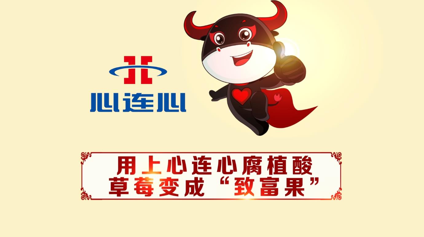 竞技宝(JJB)官方网站 - 华语电竞行业引领者