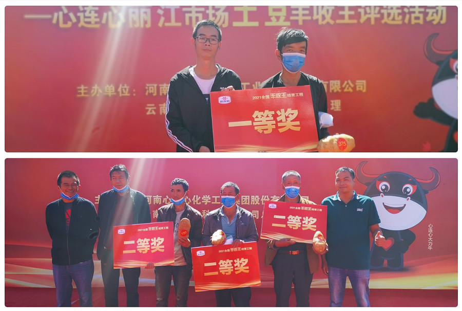 喜迎丰登，薯王争霸！——竞技宝丽江市场土豆丰登王评比活动成功进行